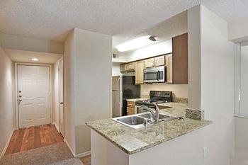 Double kitchen sinks